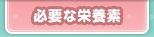 必要な栄養素